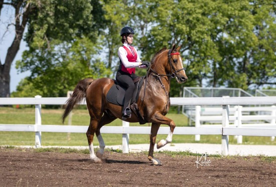 EKAHA All Breed Open Show